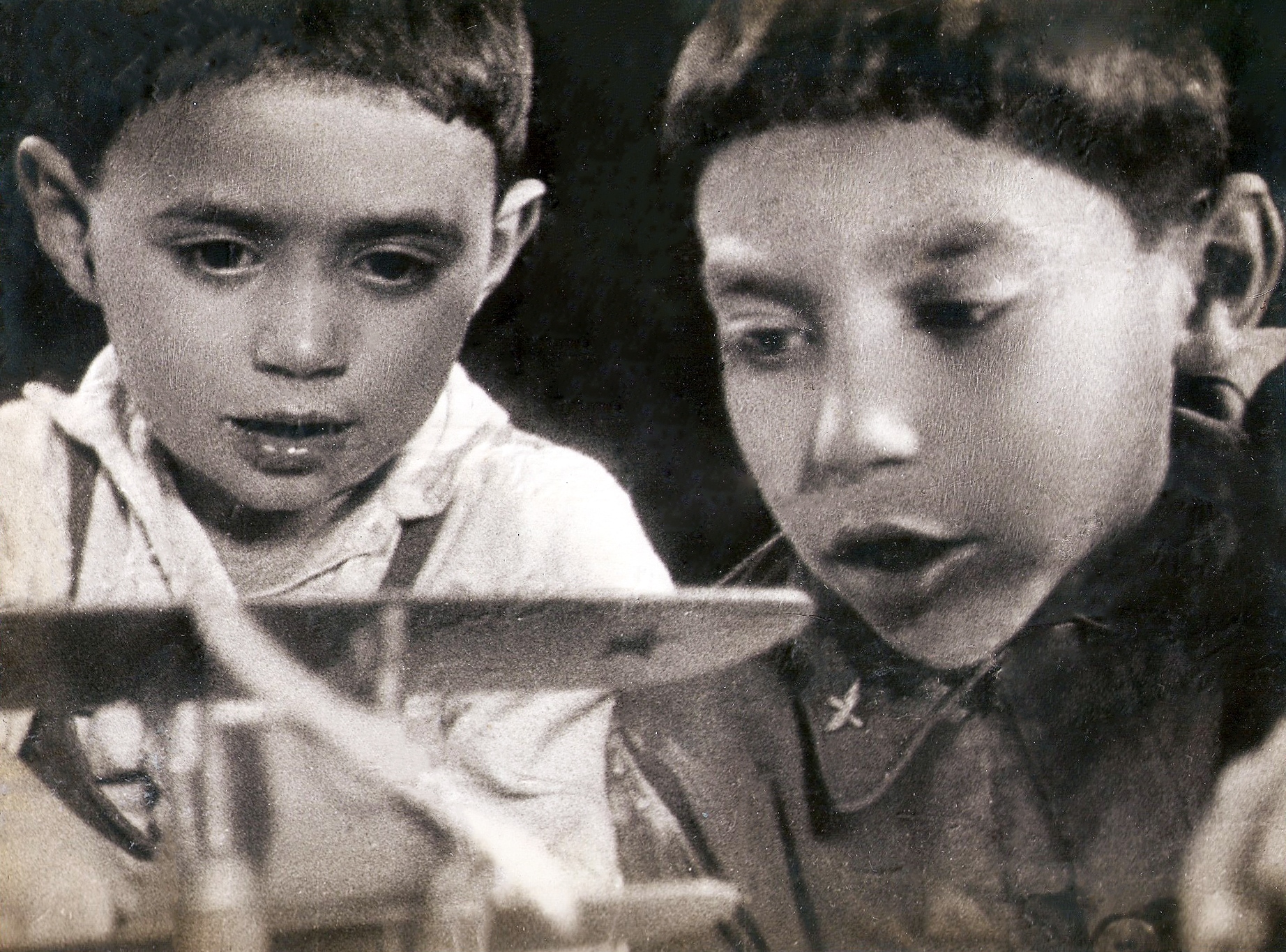 Сыновья Фируд и Рустам